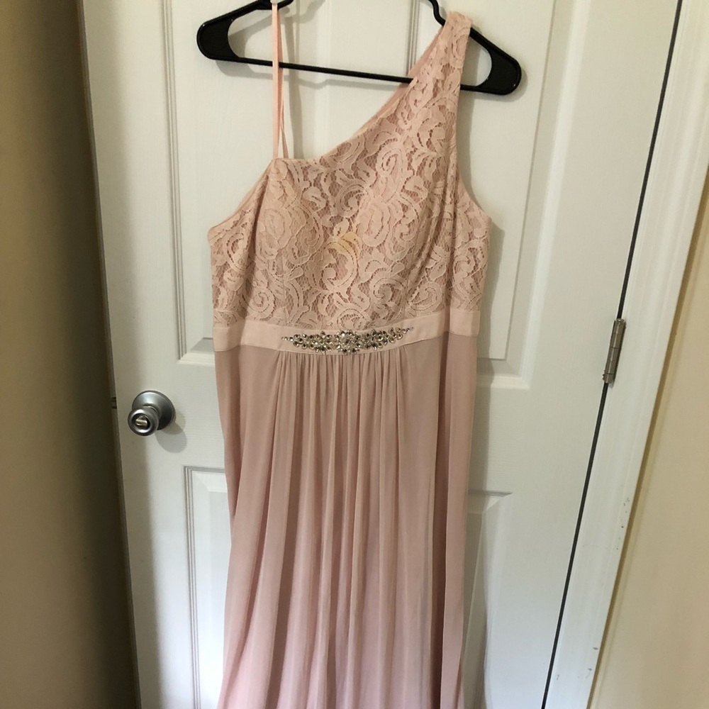 Adrianna Papell Pink Lace Floor Length Gown